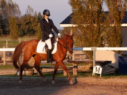 IMG_7870_web